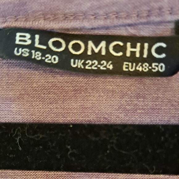 Bloomchic V-Neck Blouse - Picture 7 of 7